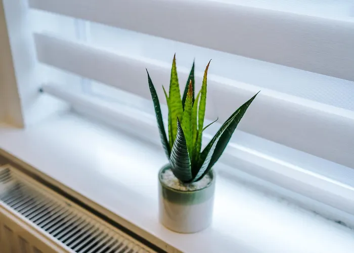 4 Bedroom Victorian House Feriehus