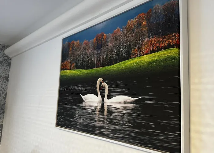 Luxury Spacious Modern Near Centre