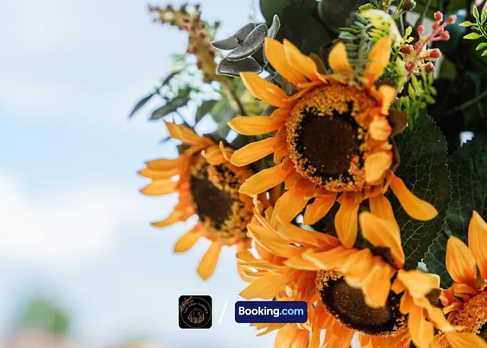 3-bed House L Free Parking L Wifi L Your Away From Hosted By The Cosy Corner Nationwide * Manchester