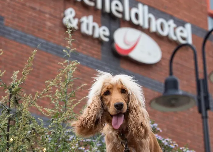 Ξενοδοχείο Castlefield 3*