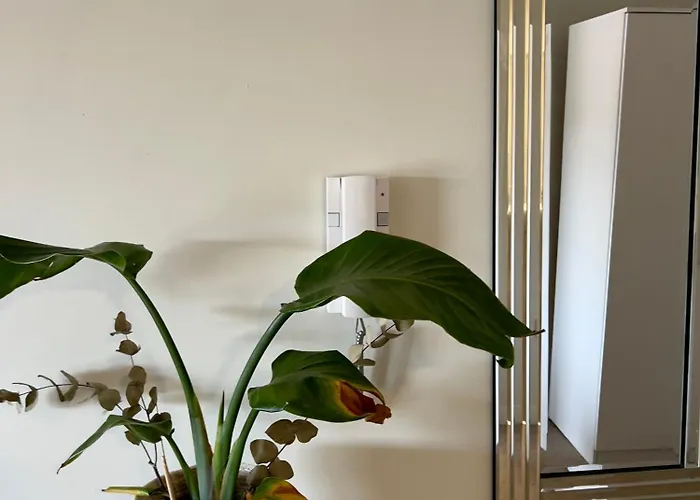 Near Centre マンチェスター