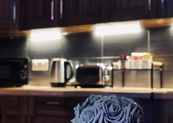 The Swanky Apartment manchester *