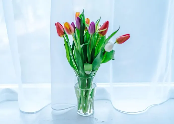 Semesterbostad The Stadium Retreat *