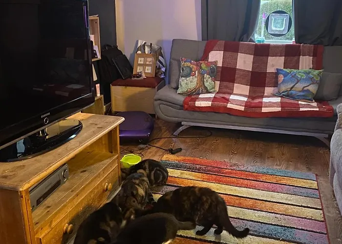 Habitación en casa particular Comfortable Cat-friendly With Garden & Parking