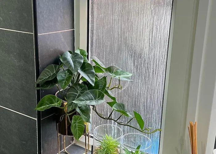 아파트 Luxury Spacious 4 Bedroom House - Free Parking - 5 Mins From Centre 맨체스터