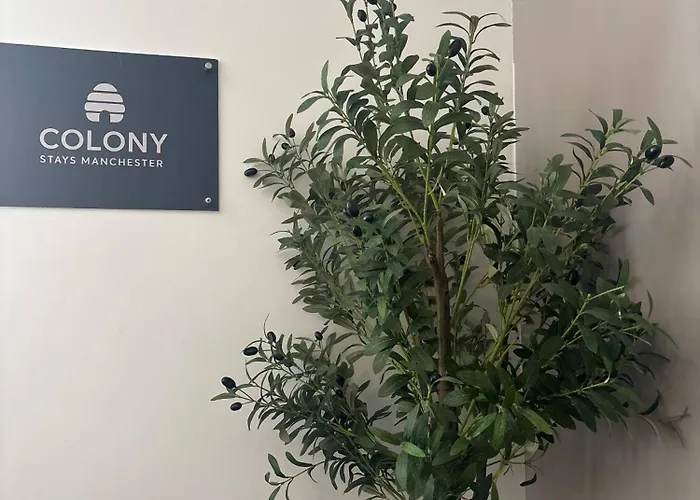 Deluxe Double Parking