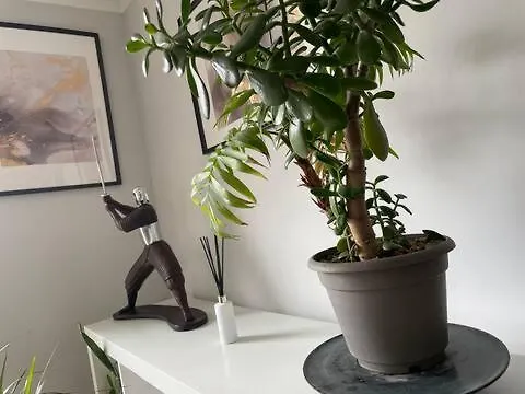 아파트 Spacious, Smart Near Centre And Coop Arena Free Parking *