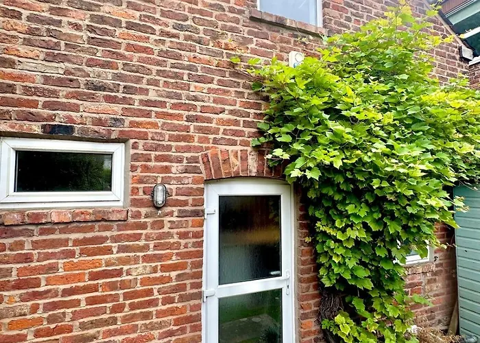 The Roost Manchester