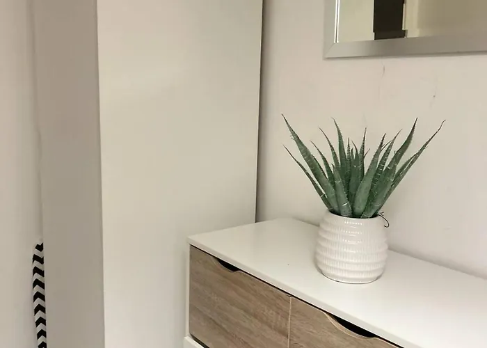 The Dyche-parking-local Attractions-fast Wi-fi Apartament Manchester