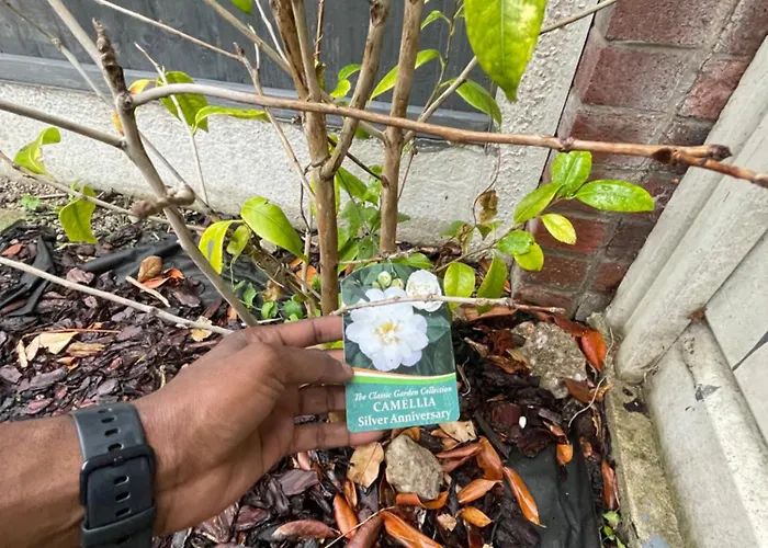 Spacious 2 Bed House In Manchester With Private Parking Manchester