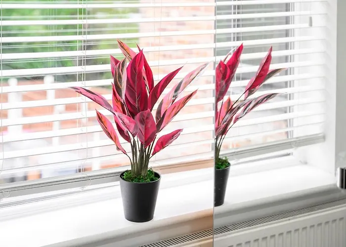 Four Bedroom House By Brookland Serviced Short Lets Salford With Free Wifi דירה