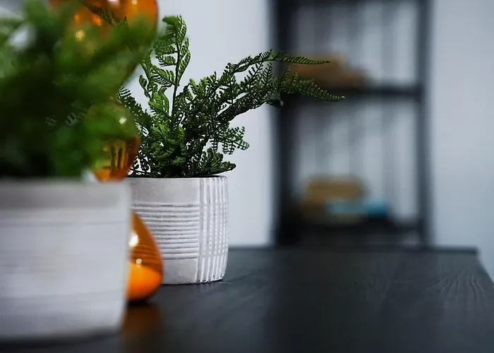 公寓 Sleek 2Br Near Centre - Sleeps 6 - Parking