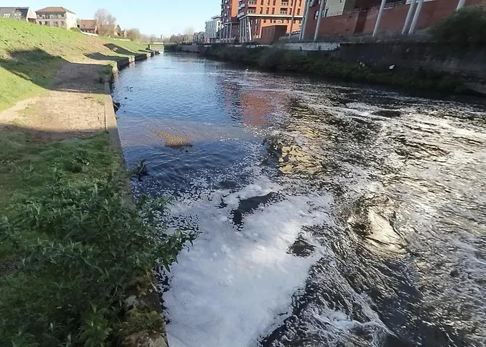 Entire In Appartement Manchester