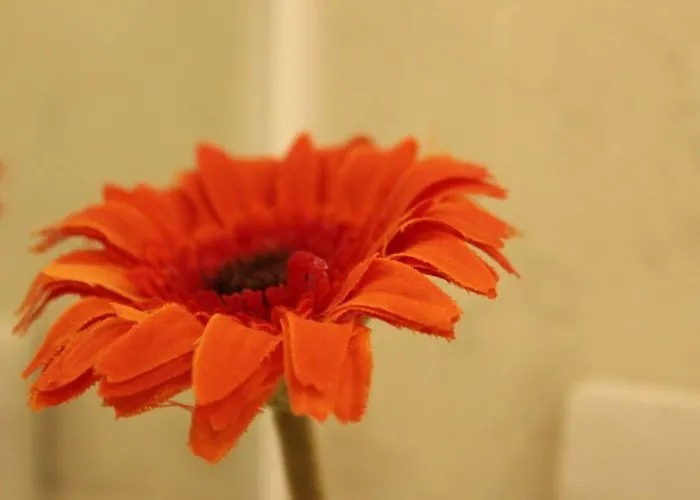 Atana Aparthotel Manchester